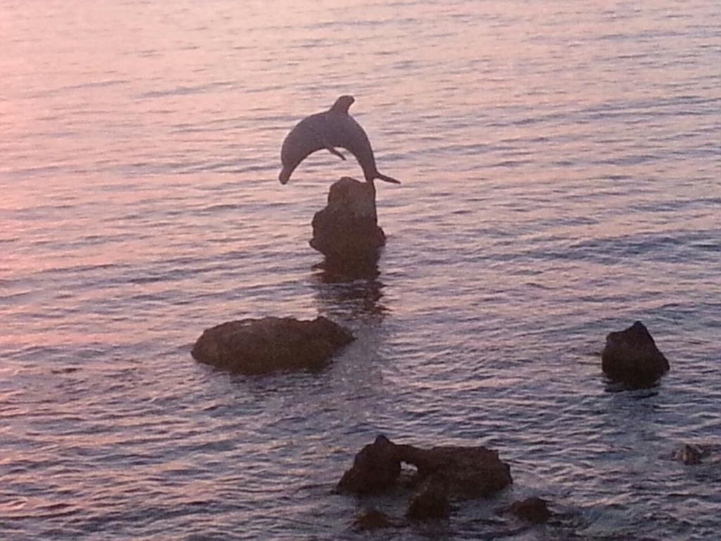 B&B Antica Botte Sassari Luaran gambar