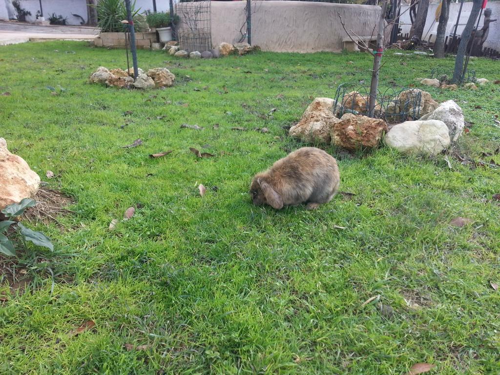 B&B Antica Botte Sassari Luaran gambar