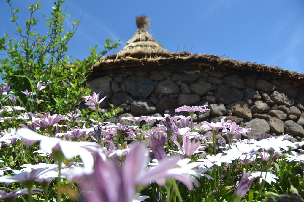 B&B Antica Botte Sassari Luaran gambar