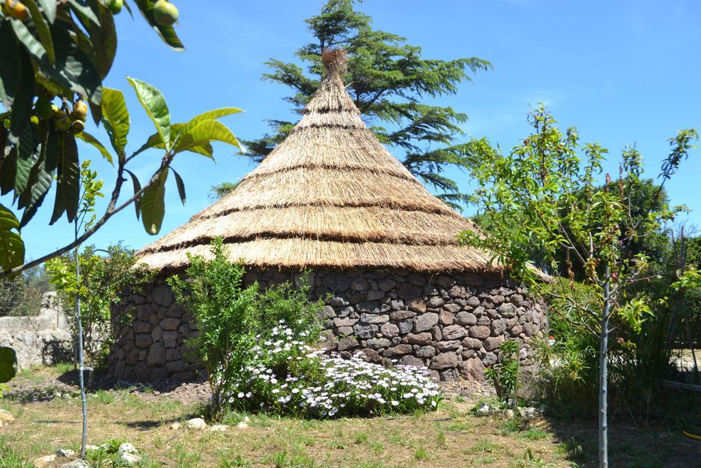 B&B Antica Botte Sassari Luaran gambar
